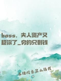 boss，夫人资产又超你了