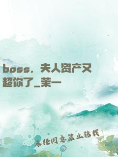 boss，夫人资产又超你了