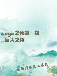csgo之我能一换一