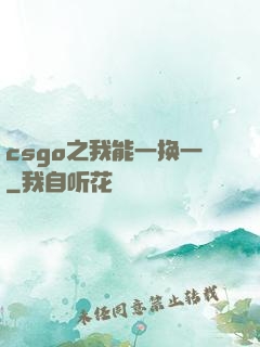 csgo之我能一换一