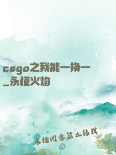 csgo之我能一换一