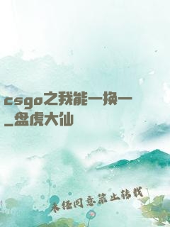 csgo之我能一换一