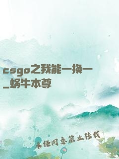 csgo之我能一换一