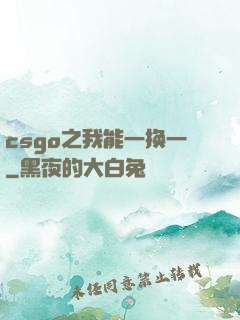 csgo之我能一换一