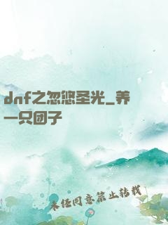 dnf之忽悠圣光