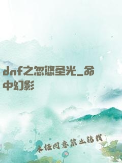 dnf之忽悠圣光