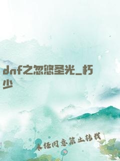 dnf之忽悠圣光
