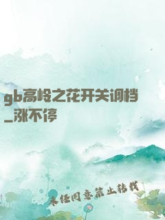 gb高岭之花开关调档