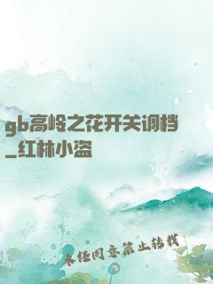 gb高岭之花开关调档