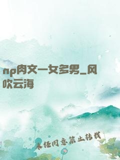 np肉文一女多男