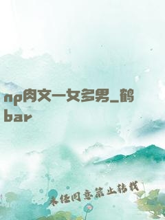 np肉文一女多男