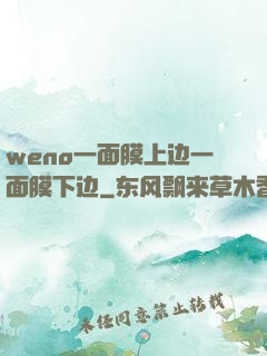 weno一面膜上边一面膜下边