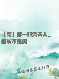 【完】第一政要夫人