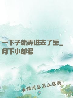 一下子就弄进去了岳