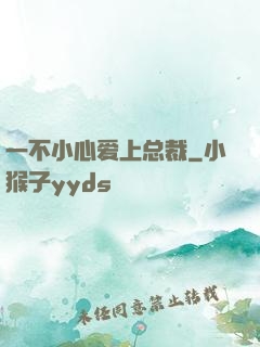 一不小心爱上总裁
