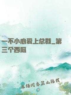 一不小心爱上总裁