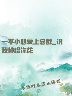 一不小心爱上总裁