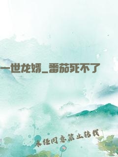 一世龙婿
