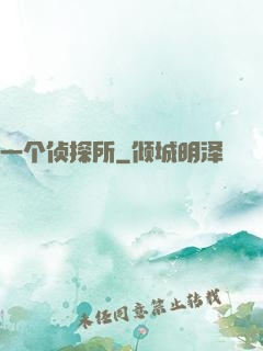 一个侦探所