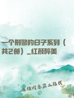 一个刑警的日子系列（共2册）