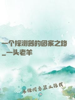 一个探测器的回家之路