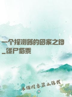一个探测器的回家之路