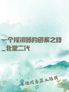 一个探测器的回家之路