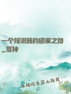 一个探测器的回家之路