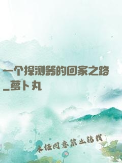 一个探测器的回家之路