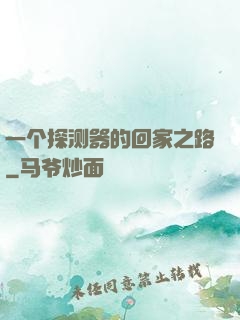 一个探测器的回家之路