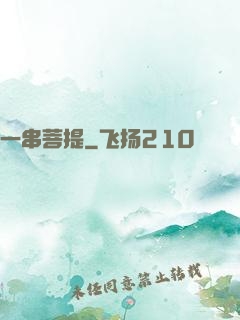 一串菩提