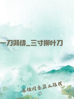 一刀倾情