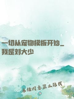一切从宠物模板开始