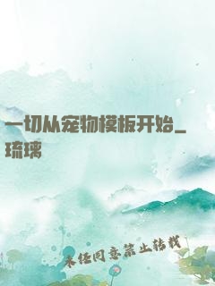 一切从宠物模板开始