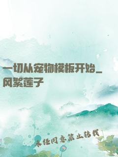 一切从宠物模板开始