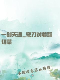一剑天途