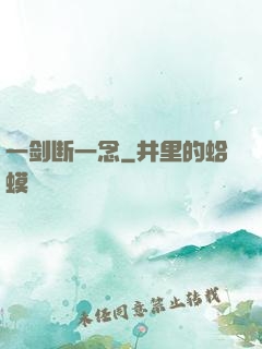 一剑断一念
