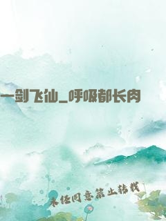 一剑飞仙