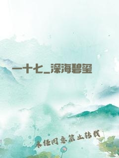 一十七