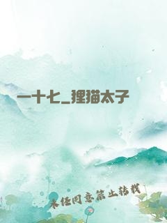 一十七