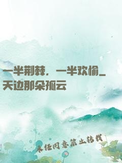 一半荆棘，一半欢愉