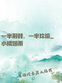 一半荆棘，一半欢愉