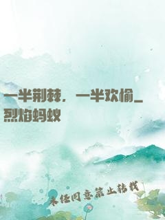 一半荆棘，一半欢愉