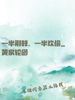 一半荆棘，一半欢愉