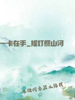 一卡在手