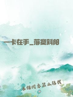 一卡在手