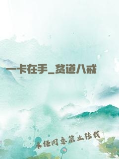 一卡在手