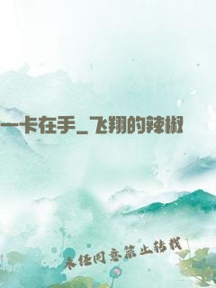 一卡在手