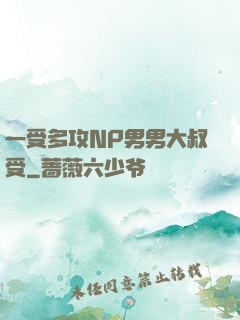 一受多攻NP男男大叔受