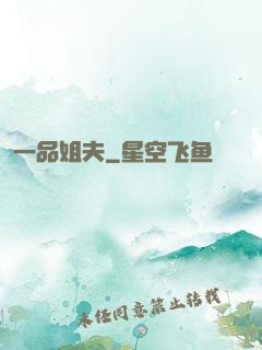 一品姐夫